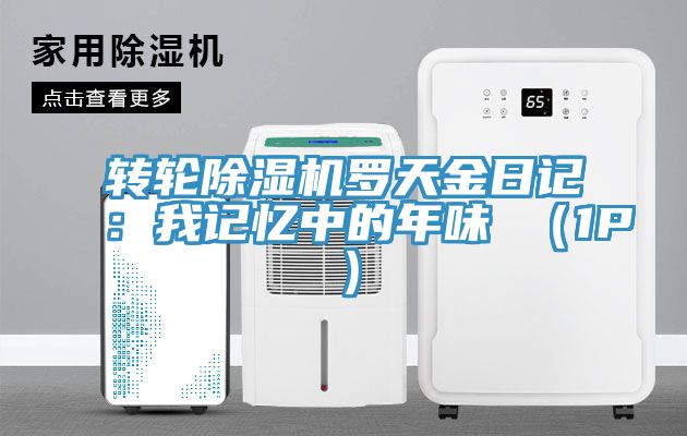 转轮除湿机罗天金日记：我记忆中的年味 （1P）