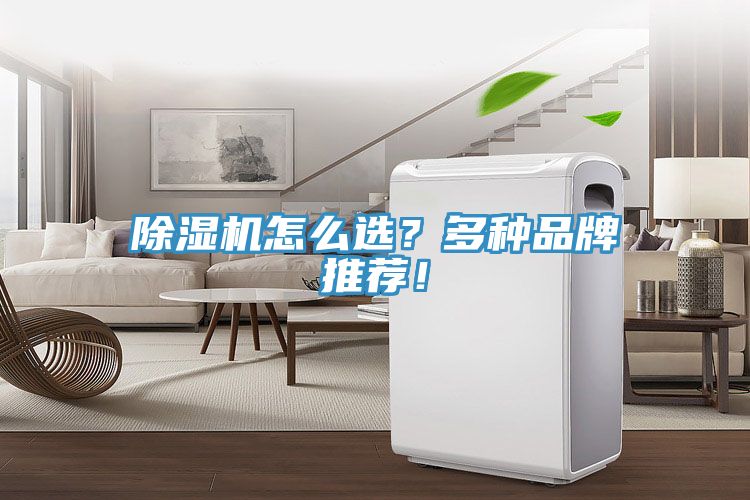 除湿机怎么选？多种品牌推荐！