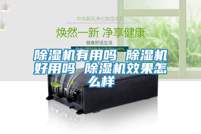 除湿机有用吗 除湿机好用吗 除湿机效果怎么样