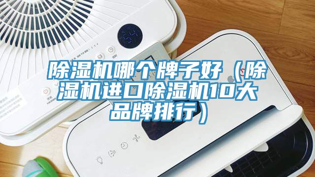 除湿机哪个牌子好（除湿机进口除湿机10大品牌排行）