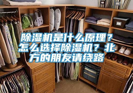除湿机是什么原理？怎么选择除湿机？北方的朋友请绕路