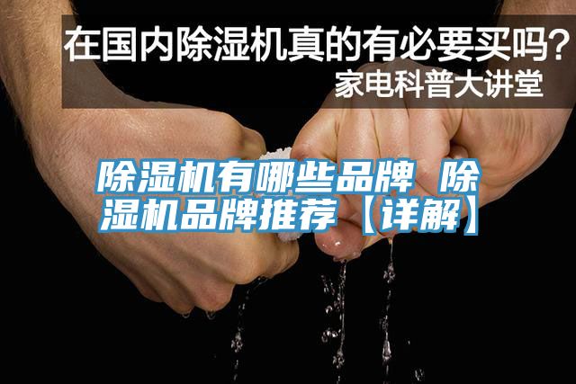 除湿机有哪些品牌 除湿机品牌推荐【详解】