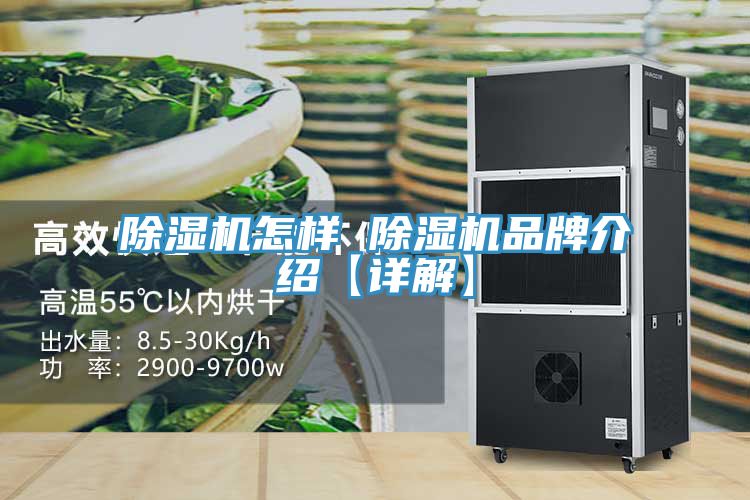 除湿机怎样 除湿机品牌介绍【详解】