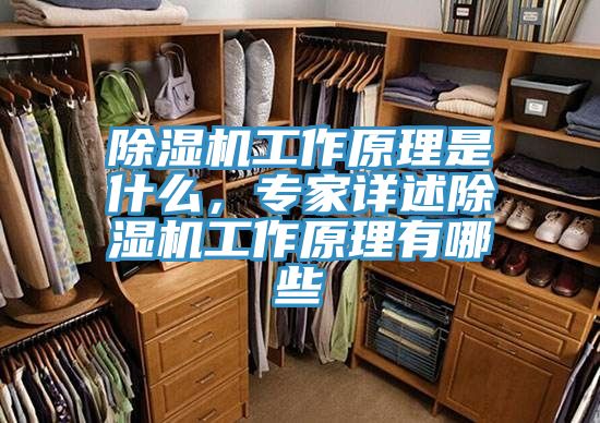 除湿机工作原理是什么，专家详述除湿机工作原理有哪些
