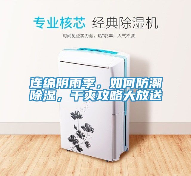 连绵阴雨季，如何防潮除湿，干爽攻略大放送