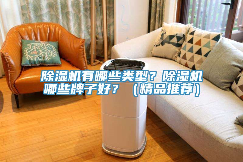 除湿机有哪些类型？除湿机哪些牌子好？（精品推荐）