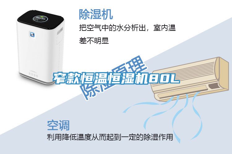 窄款恒温恒湿机80L