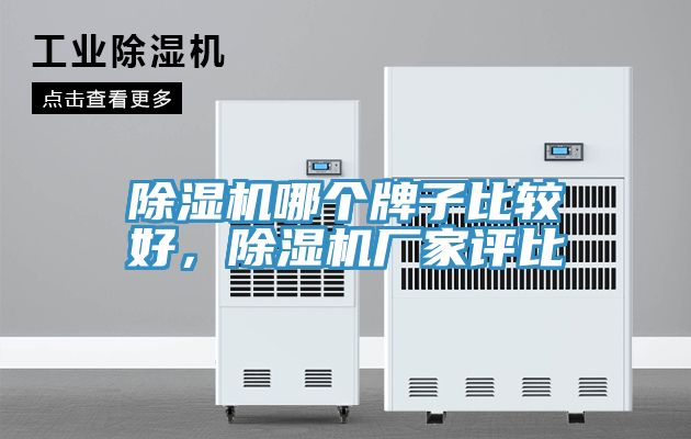 除湿机哪个牌子比较好，除湿机厂家评比