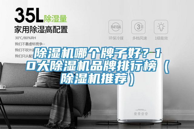 除湿机哪个牌子好？10大除湿机品牌排行榜（除湿机推荐）