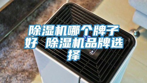 除湿机哪个牌子好 除湿机品牌选择