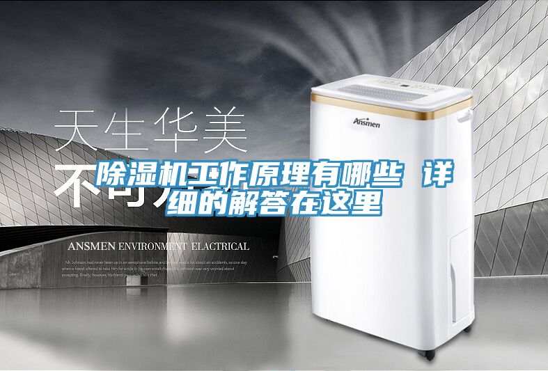 除湿机工作原理有哪些 详细的解答在这里