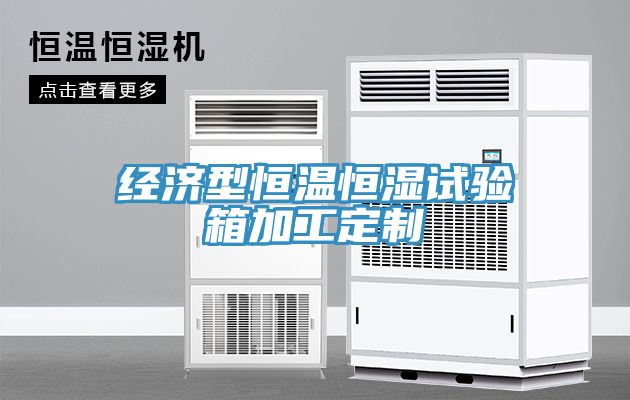 经济型恒温恒湿试验箱加工定制