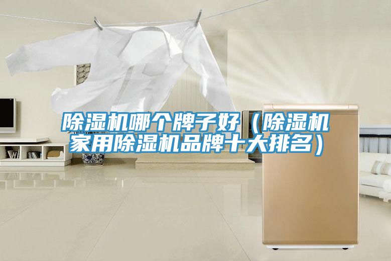 除湿机哪个牌子好（除湿机家用除湿机品牌十大排名）
