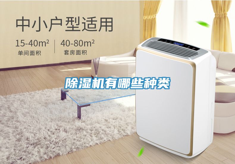 除湿机有哪些种类