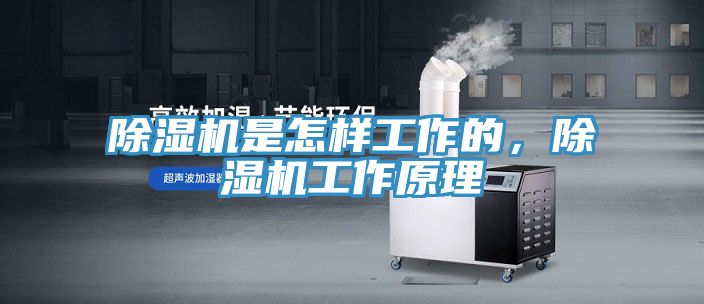 除湿机是怎样工作的，除湿机工作原理