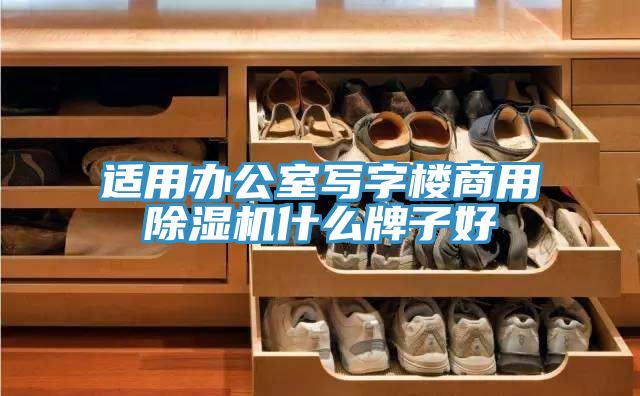 适用办公室写字楼商用除湿机什么牌子好