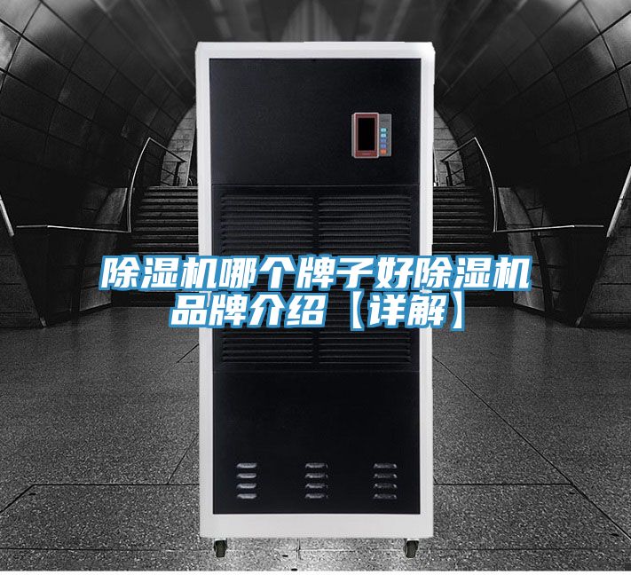 除湿机哪个牌子好除湿机品牌介绍【详解】