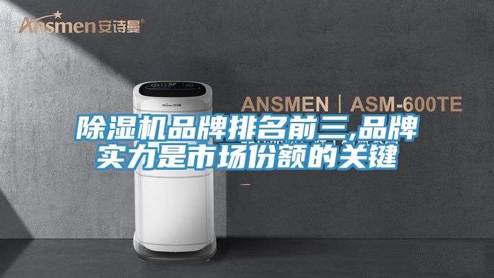 除湿机品牌排名前三,品牌实力是市场份额的关键