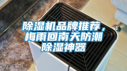 除湿机品牌推荐，梅雨回南天防潮除湿神器