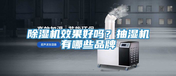 除湿机效果好吗？抽湿机有哪些品牌