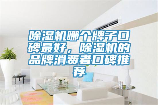 除湿机哪个牌子口碑最好，除湿机的品牌消费者口碑推荐