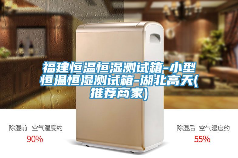 福建恒温恒湿测试箱-小型恒温恒湿测试箱-湖北高天(推荐商家)