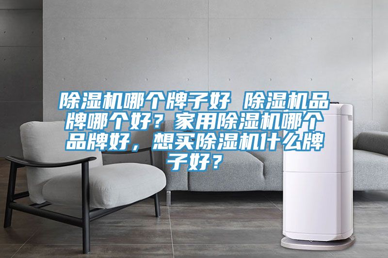 除湿机哪个牌子好 除湿机品牌哪个好？家用除湿机哪个品牌好，想买除湿机什么牌子好？