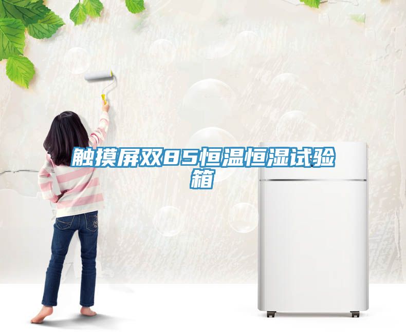 触摸屏双85恒温恒湿试验箱