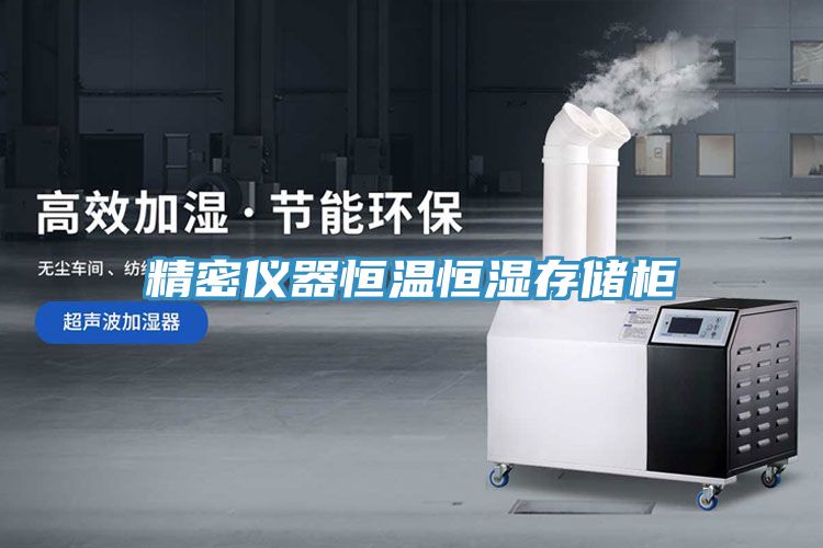 精密仪器恒温恒湿存储柜