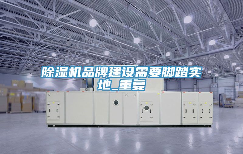 除湿机品牌建设需要脚踏实地_重复