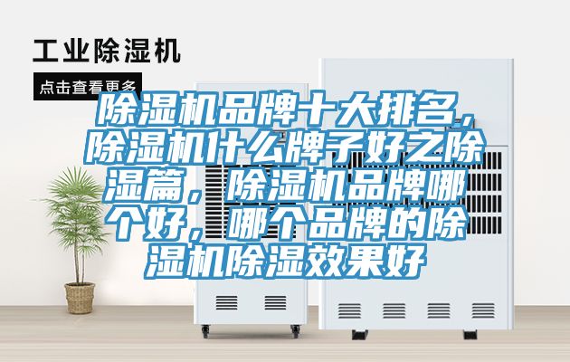 除湿机品牌十大排名，除湿机什么牌子好之除湿篇，除湿机品牌哪个好，哪个品牌的除湿机除湿效果好