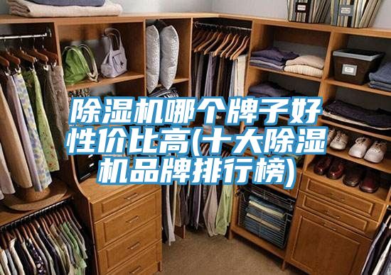 除湿机哪个牌子好性价比高(十大除湿机品牌排行榜)