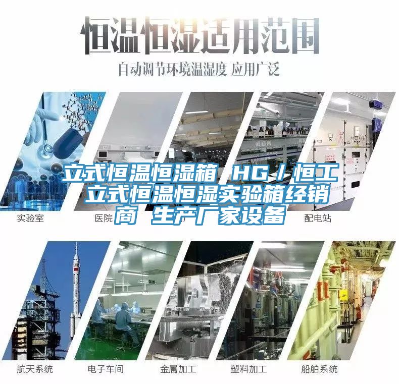 立式恒温恒湿箱 HG／恒工 立式恒温恒湿实验箱经销商 生产厂家设备