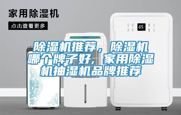 除湿机推荐，除湿机哪个牌子好, 家用除湿机抽湿机品牌推荐