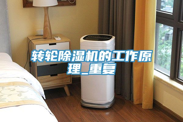 转轮除湿机的工作原理_重复