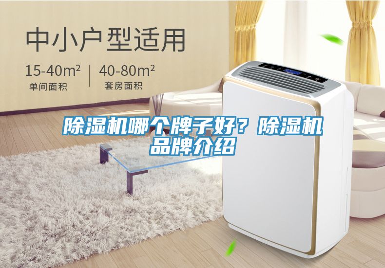 除湿机哪个牌子好？除湿机品牌介绍