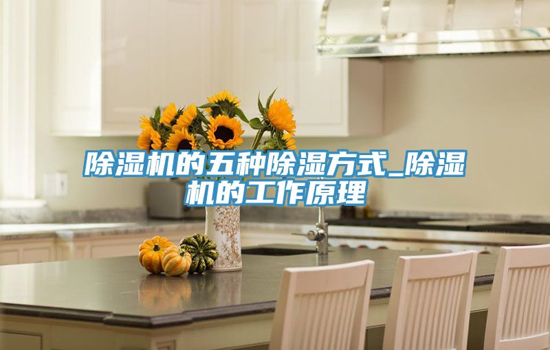 除湿机的五种除湿方式_除湿机的工作原理