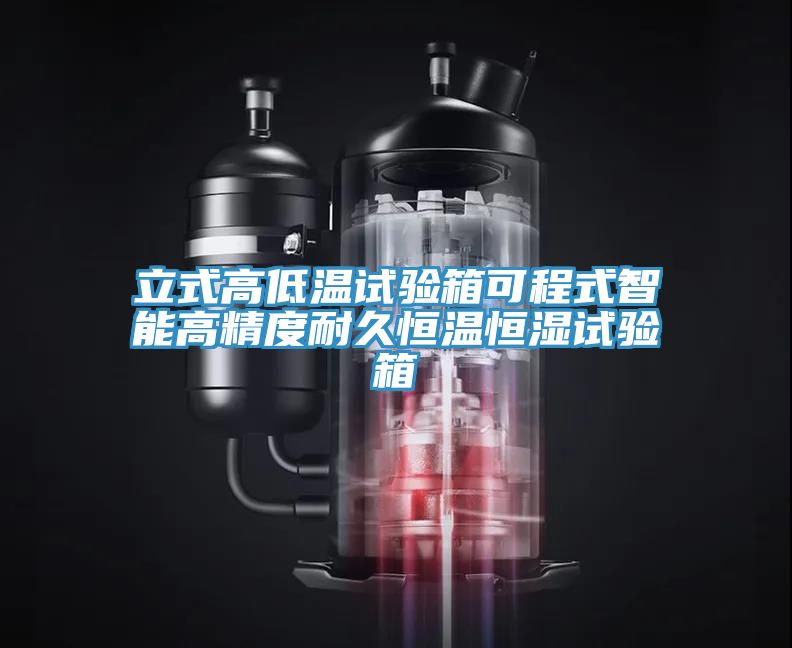 立式高低温试验箱可程式智能高精度耐久恒温恒湿试验箱