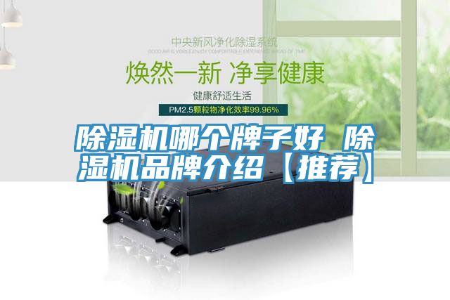 除湿机哪个牌子好 除湿机品牌介绍【推荐】