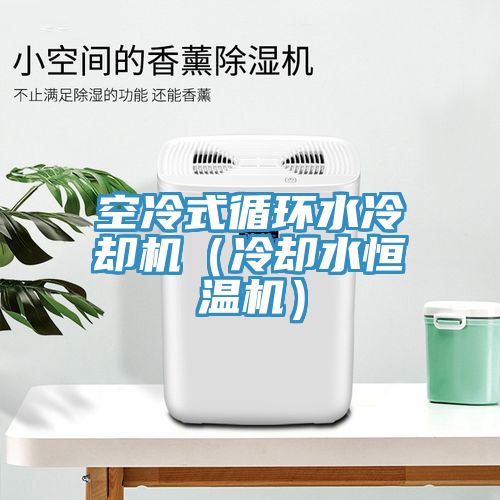 空冷式循环水冷却机（冷却水恒温机）
