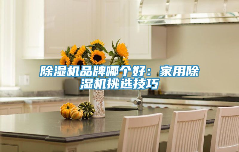 除湿机品牌哪个好：家用除湿机挑选技巧