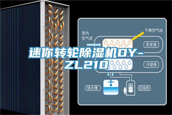 迷你转轮除湿机DY-ZL210