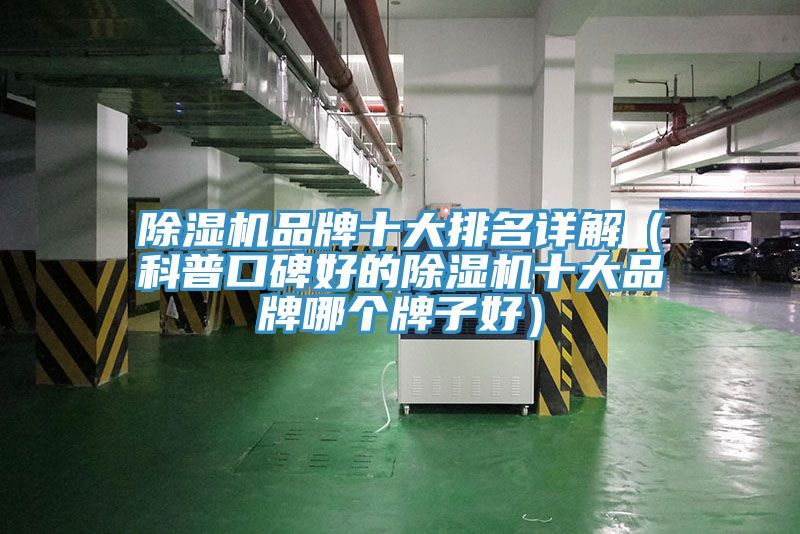 除湿机品牌十大排名详解（科普口碑好的除湿机十大品牌哪个牌子好）