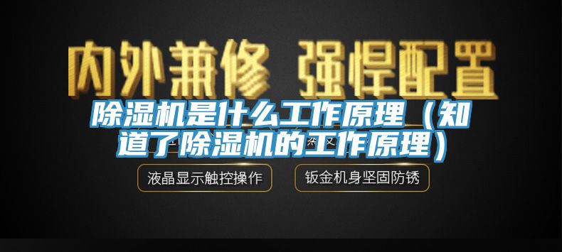 除湿机是什么工作原理（知道了除湿机的工作原理）
