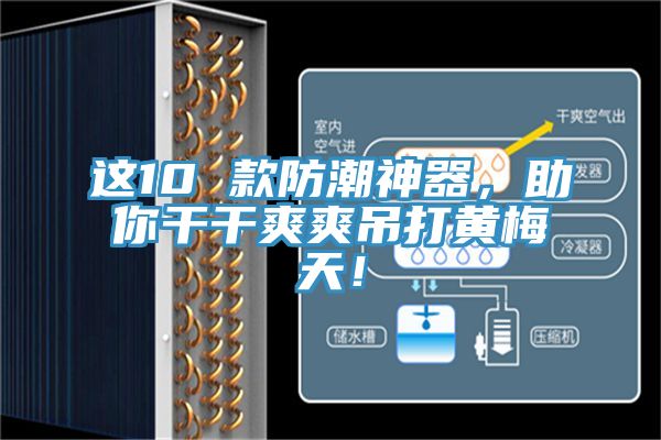 这10 款防潮神器，助你干干爽爽吊打黄梅天！