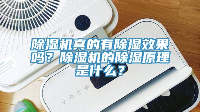 除湿机真的有除湿效果吗？除湿机的除湿原理是什么？