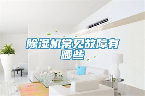 除湿机常见故障有哪些