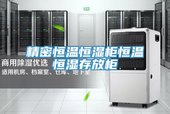 精密恒温恒湿柜恒温恒湿存放柜