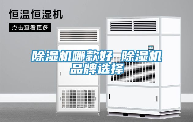 除湿机哪款好 除湿机品牌选择