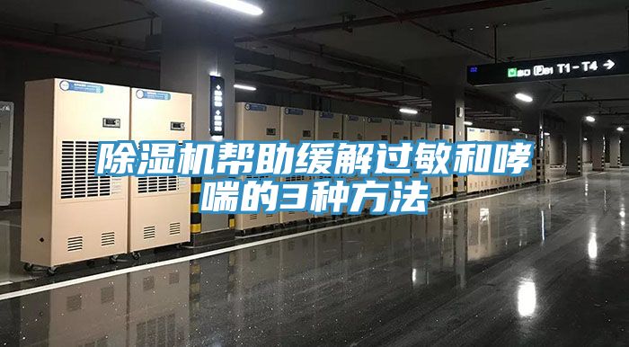 除湿机帮助缓解过敏和哮喘的3种方法